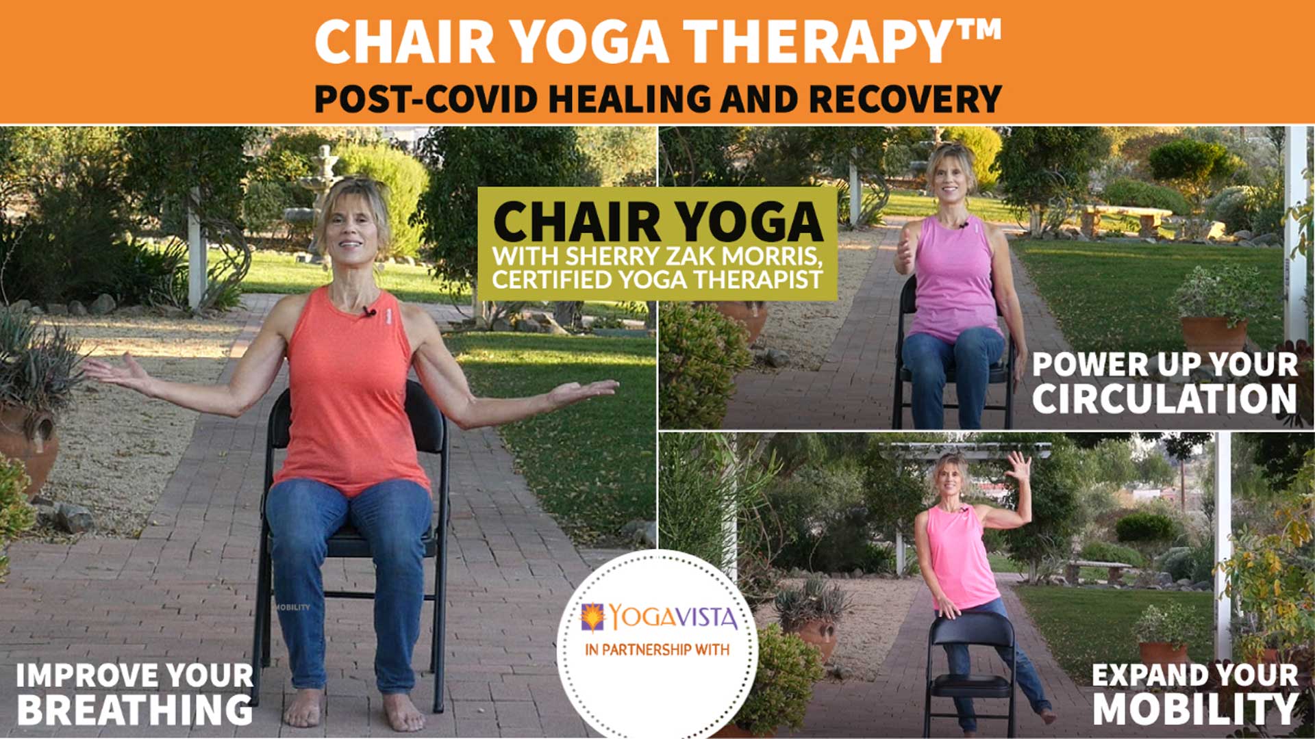Sherry Zak Morris Chair Yoga Therapy Post-Covid Healing & Recovery