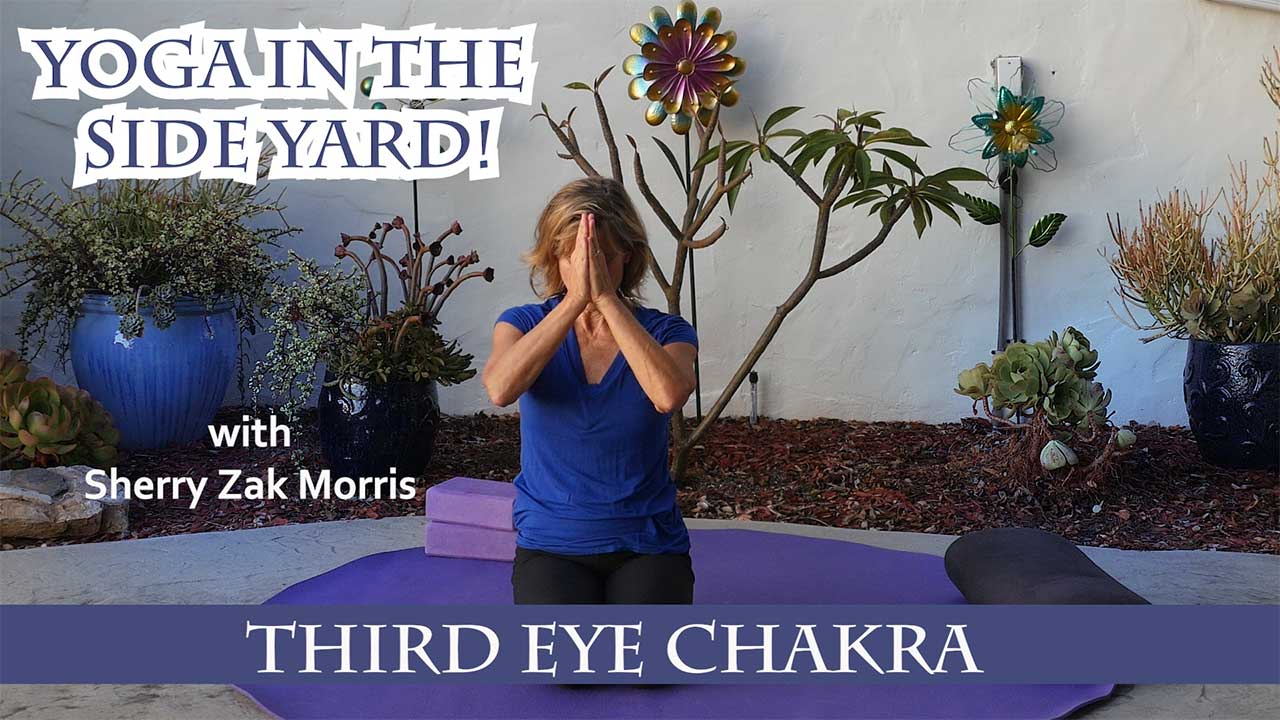 Sherry Zak Morris - Third Eye Chakra Yoga Practice