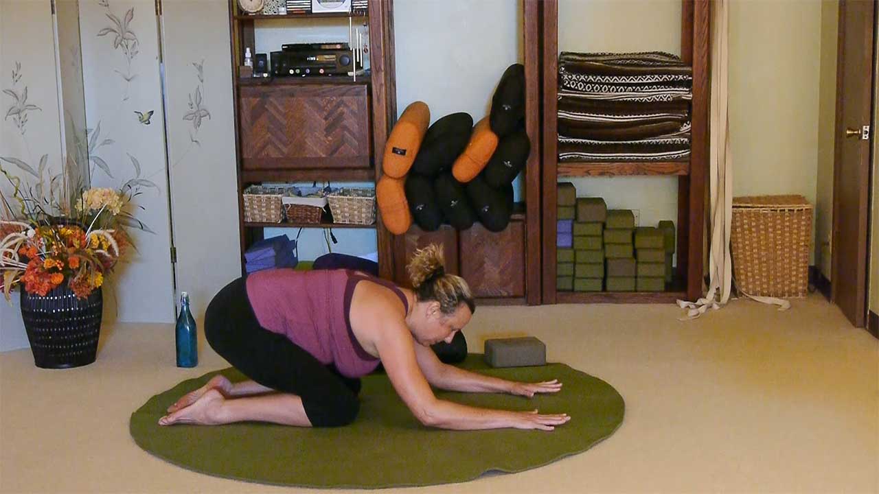 Justine Shelton - Yoga for Osteopororis