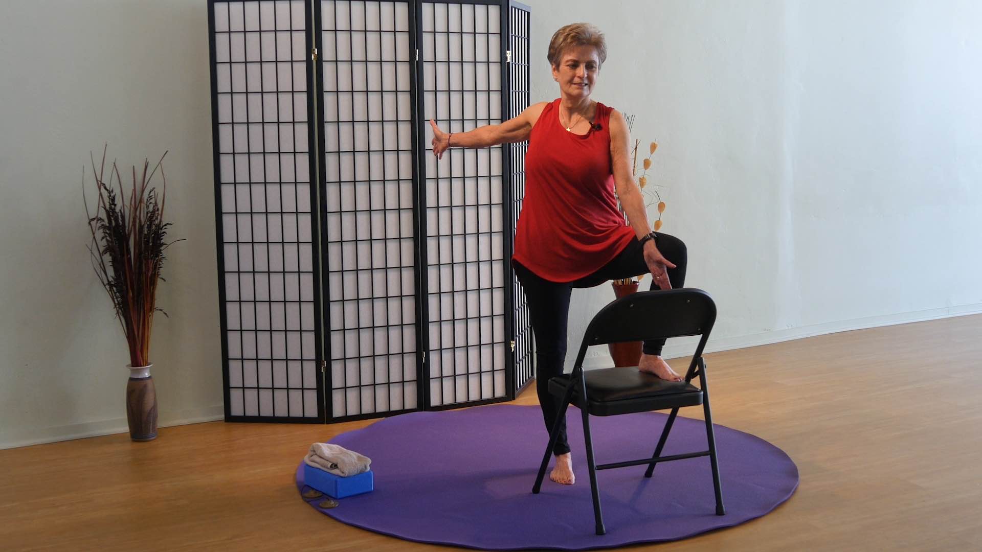 Tatis Cervantes-Aiken Dynamic Chair Yoga