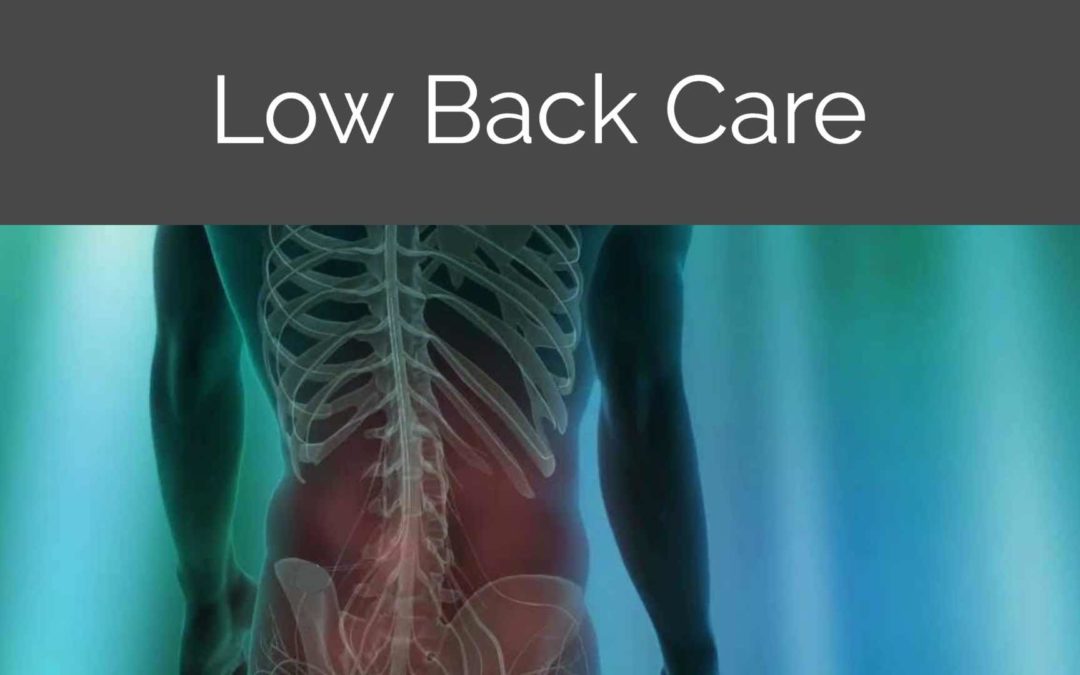 Essential Program: Low Back Care