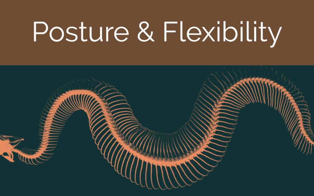 Essential Program: Posture & Flexibility