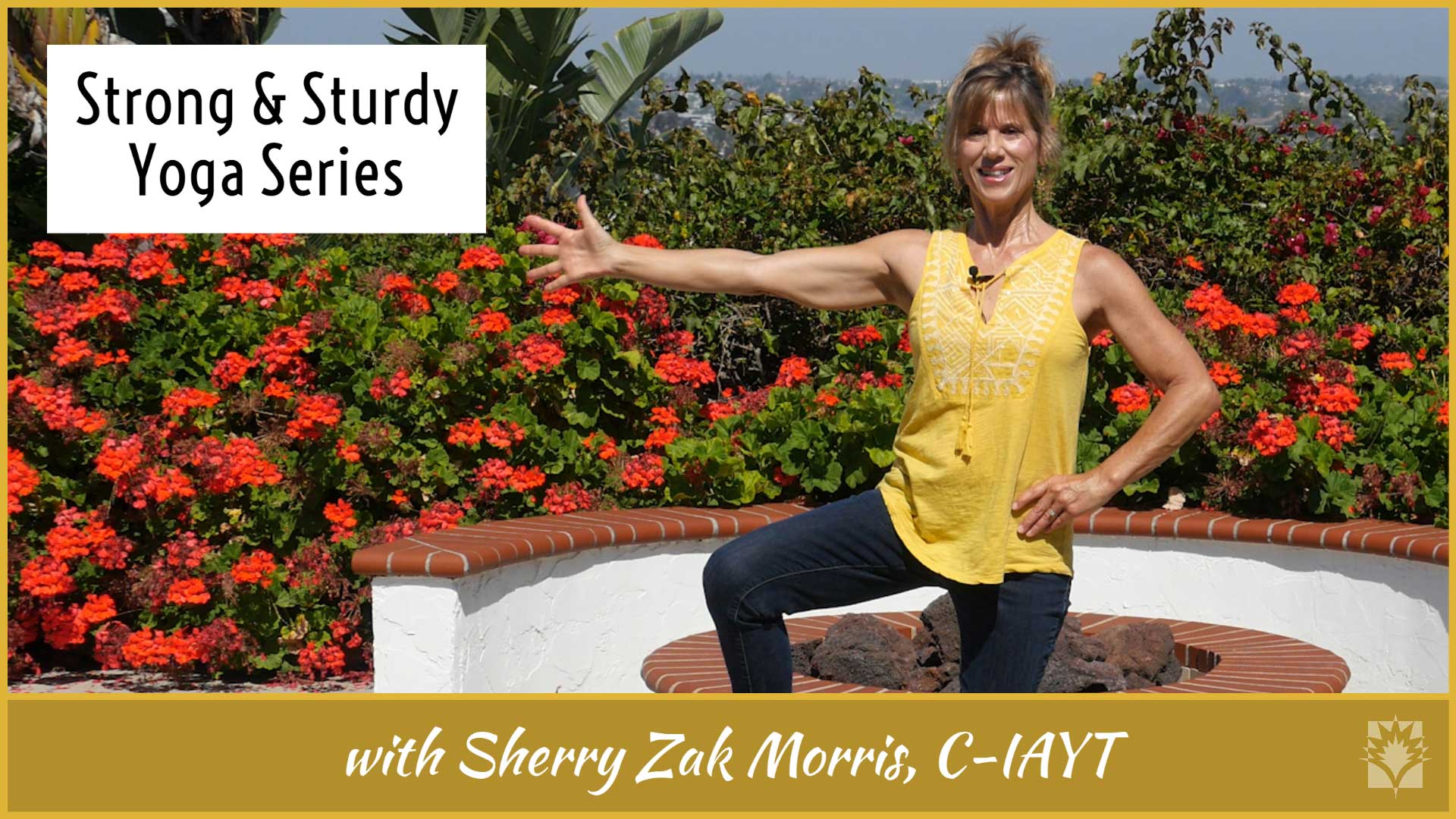 Sherry Zak Morris Strong and Sturdy Series