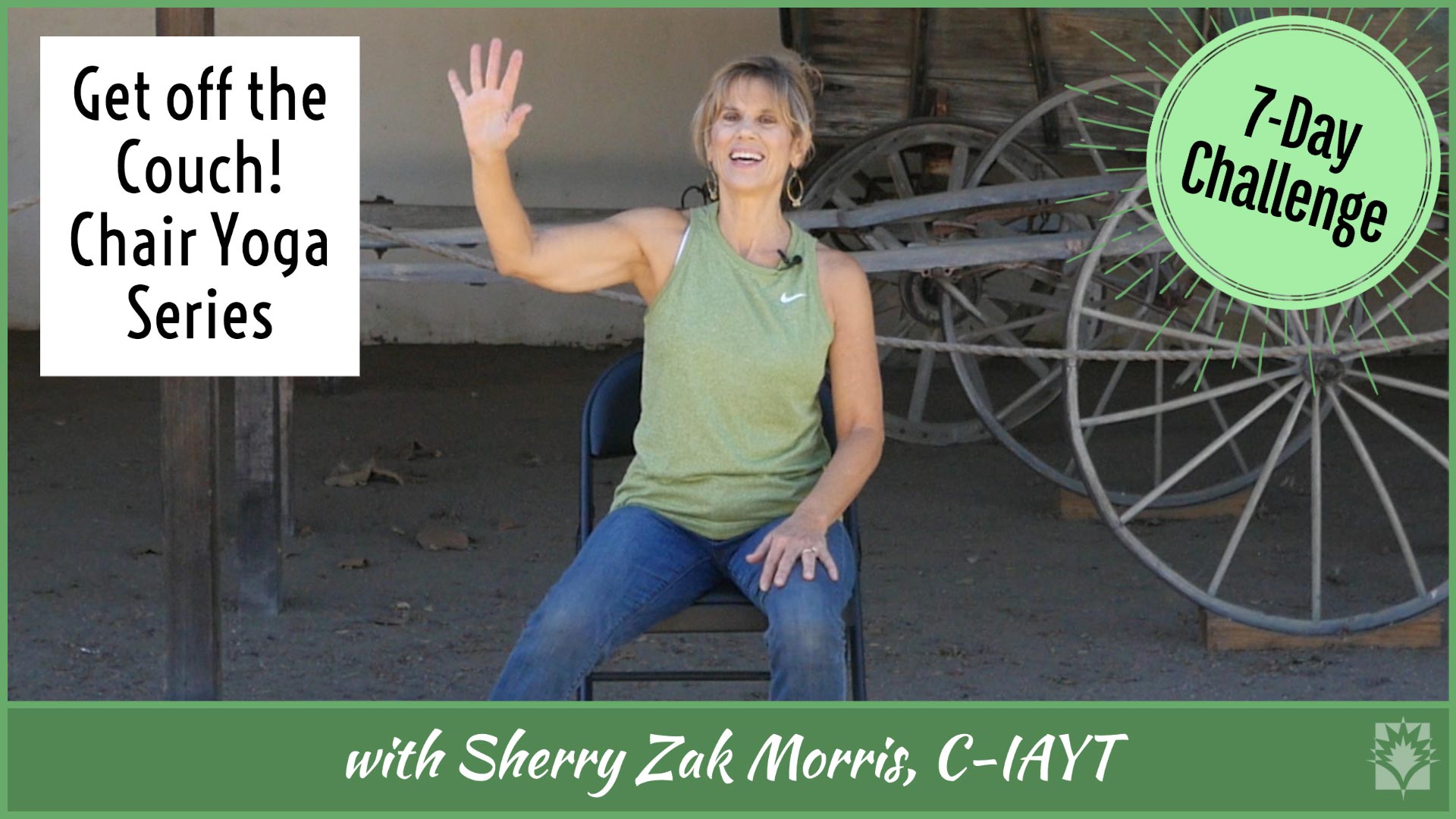 Sherry Zak Morris Get off the Couch! Kickstart Chair Yoga Series