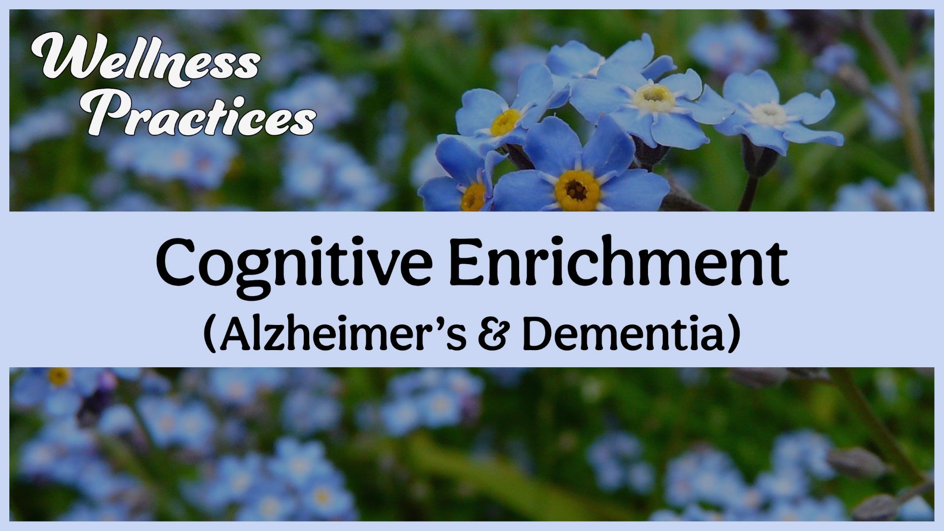 Wellness Practices: Cognitive Enrichment