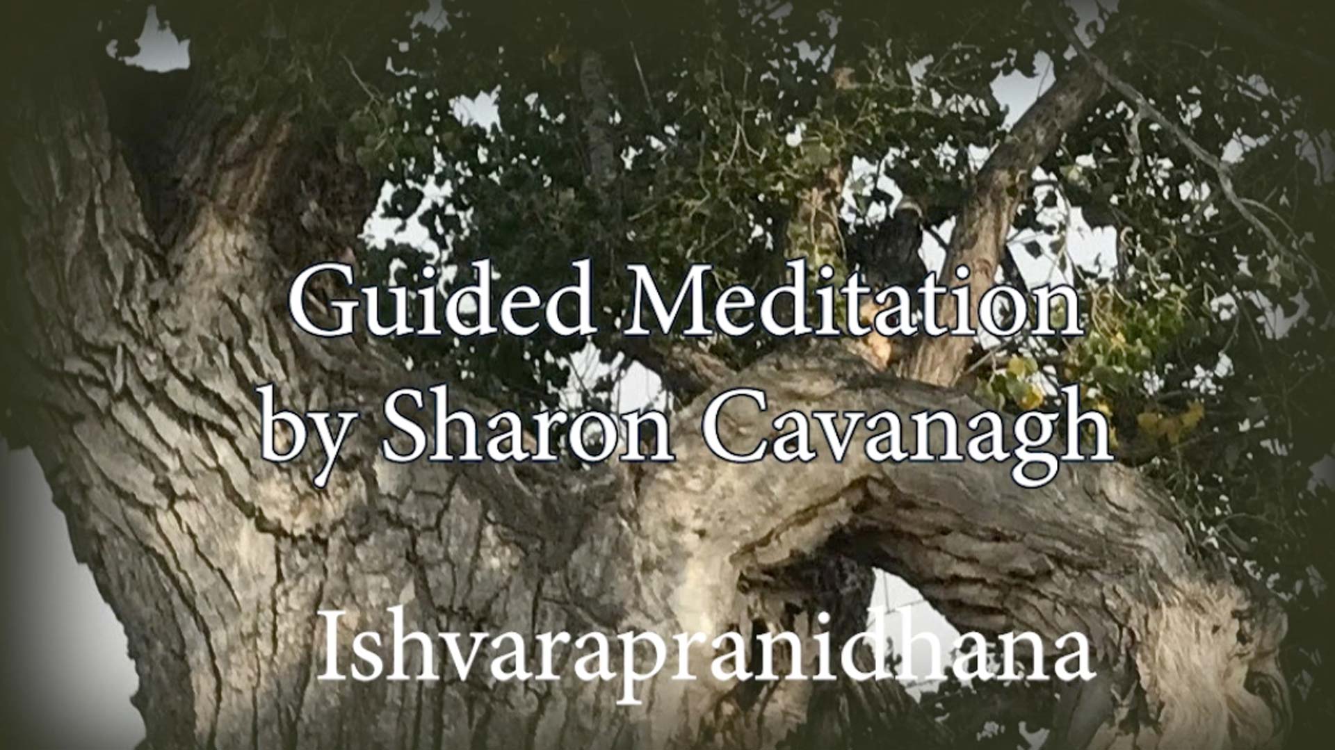 Sharon Cavanagh Ishvarapranidhana Seeing the Spiritual