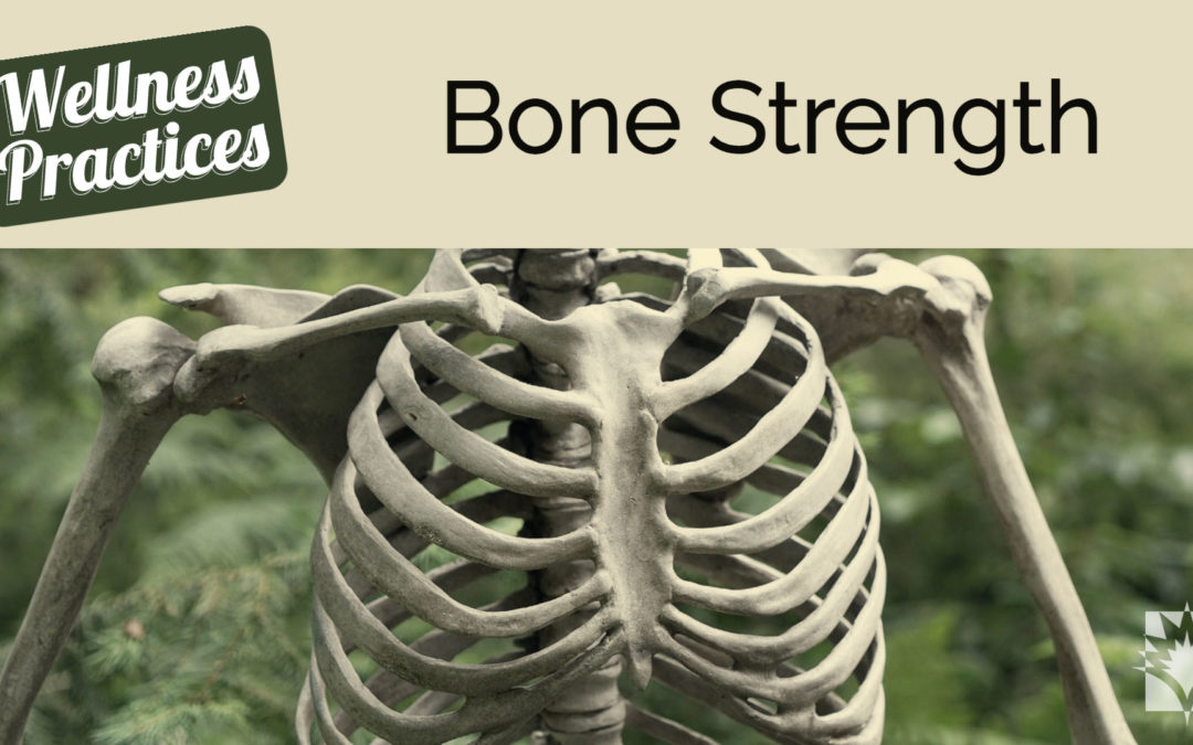 Wellness Practices for Bone Strength