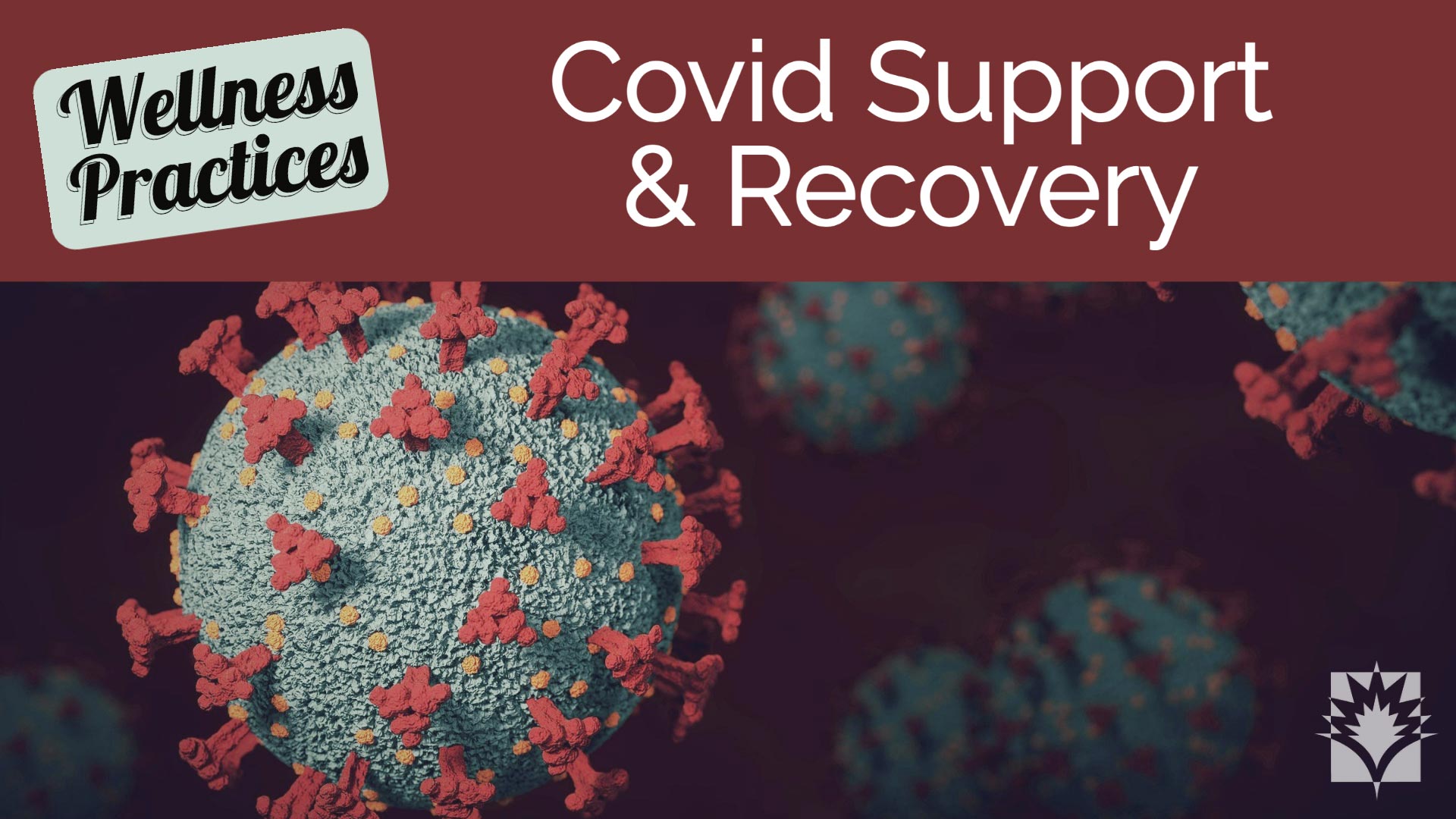 Covid Support & Recovery