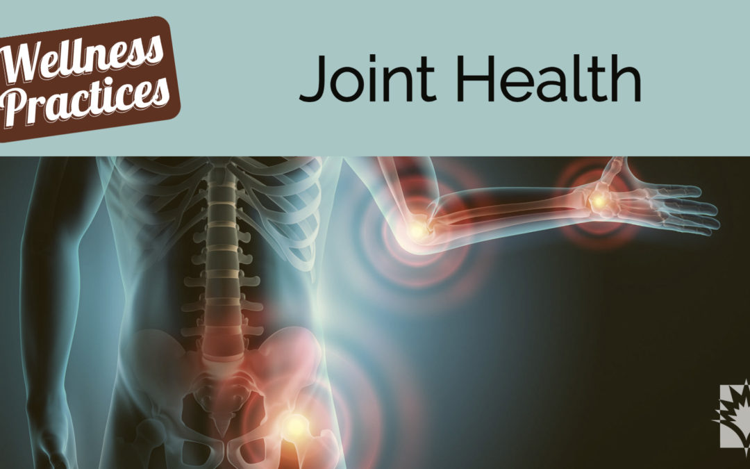 Wellness Practices for Joint Health
