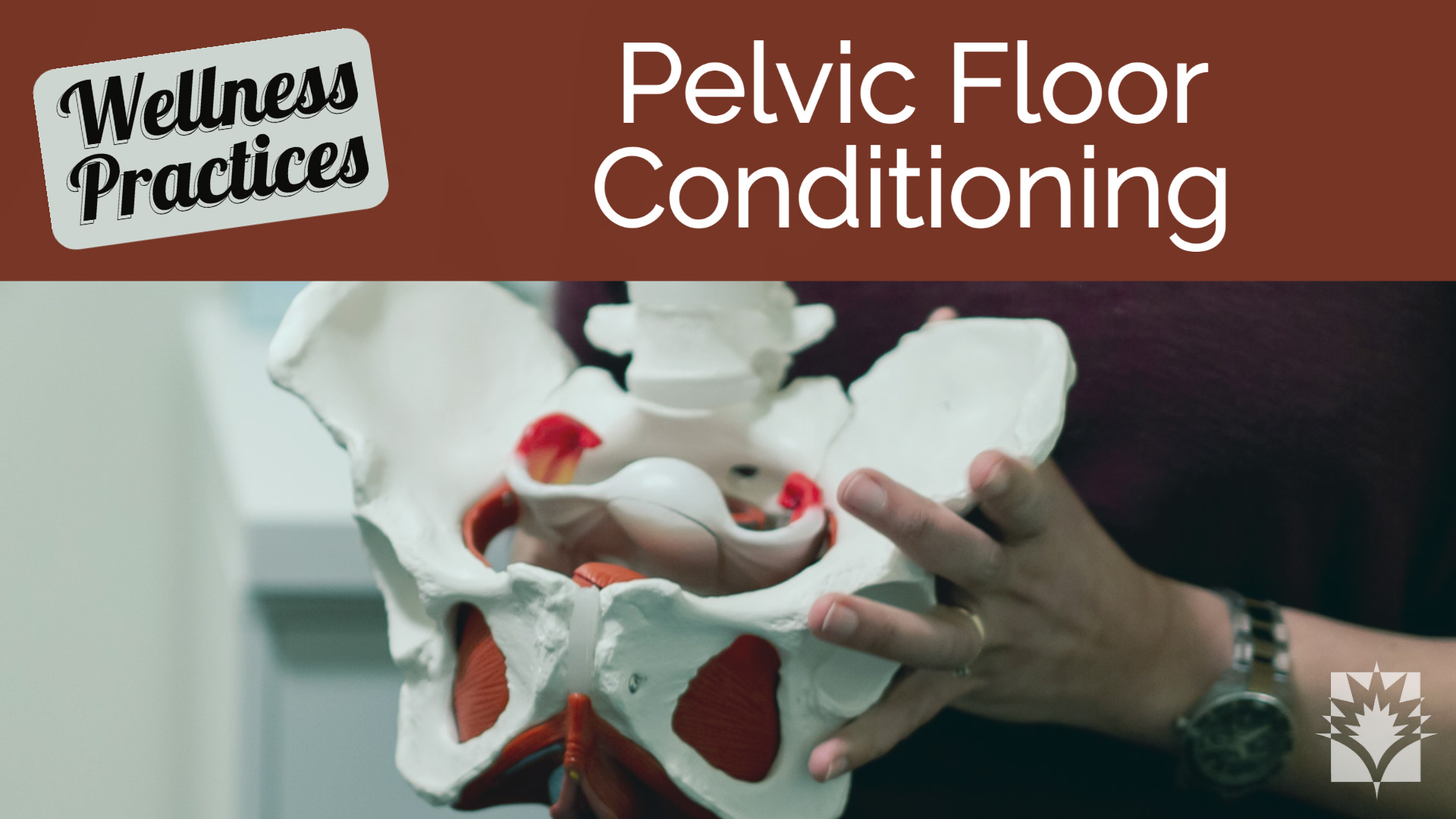 Pelvic Floor Conditioning