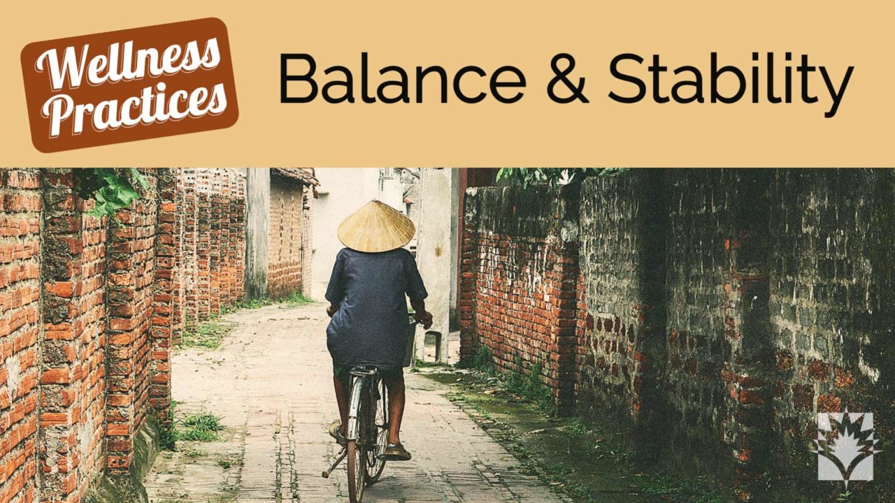 Wellness Practices For Balance And Stability - Yoga Vista TV