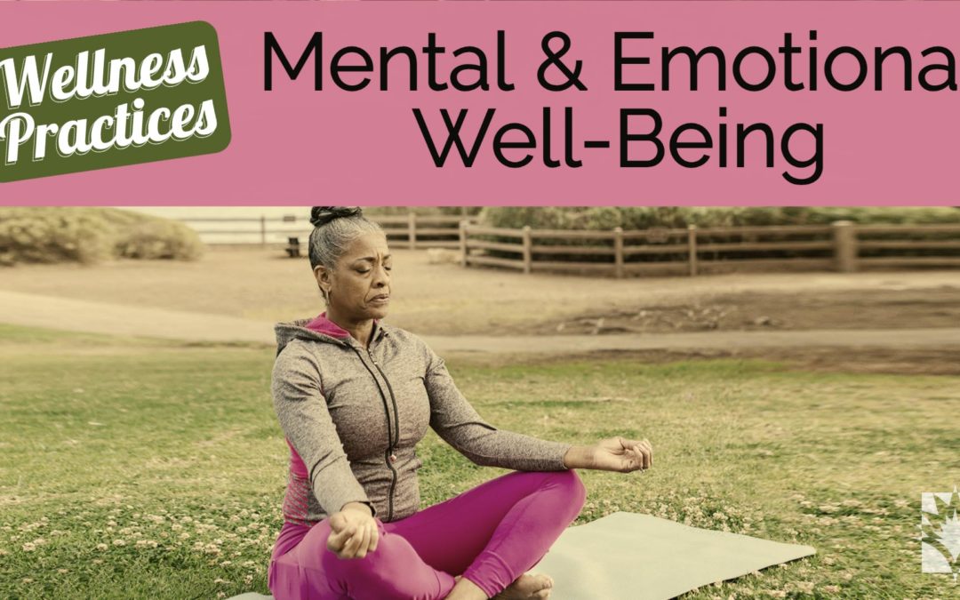 Wellness Practices for Mental and Emotional Well-Being