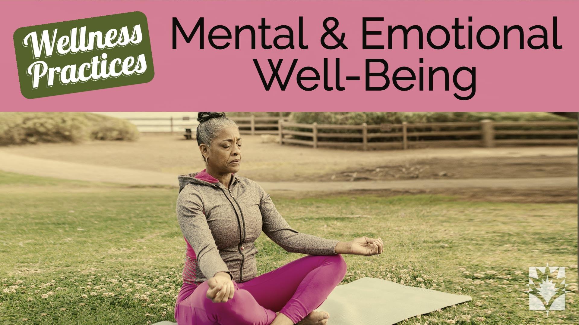 Mental & Emotional Well-Being